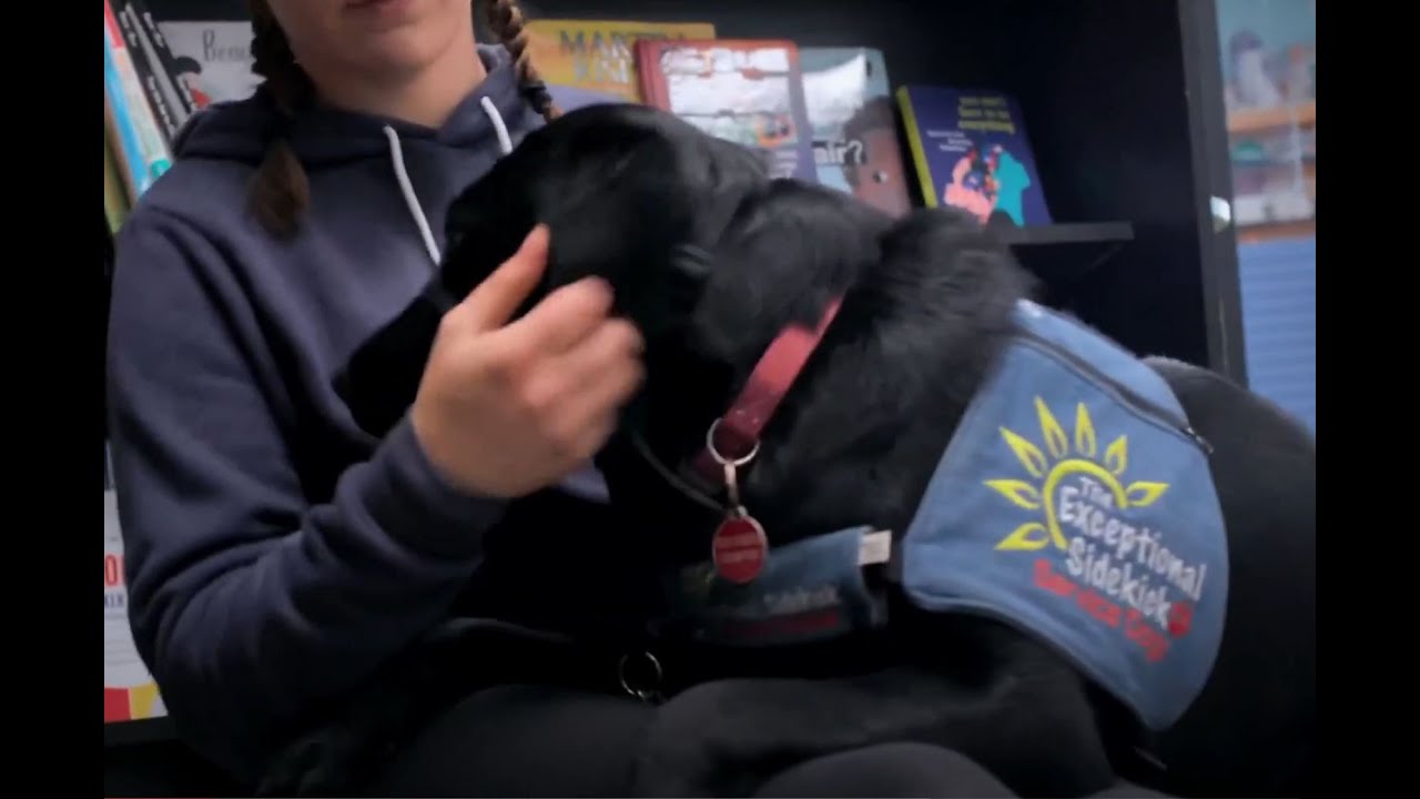 A day in the life of a Service Dog - Eliza & Emily