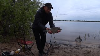 Ловля Ляща на Дніпрі в Києві. Оце так Результат🐠🐠🐠!!! Фідерна рибалка в Києві 2024.