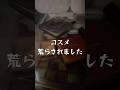 コスメ荒らされた助けて🥲#生活音asmr #最悪 #悲しい