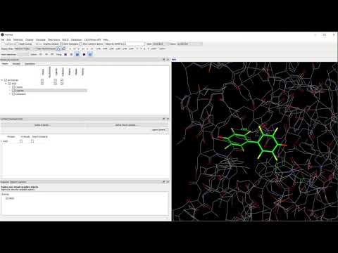 How to measure distances, angles and torsions in Hermes