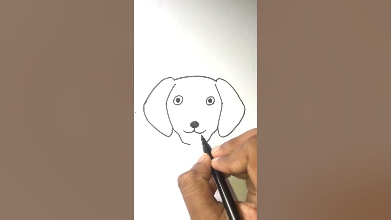 How To Draw A Dog Face - YouTube