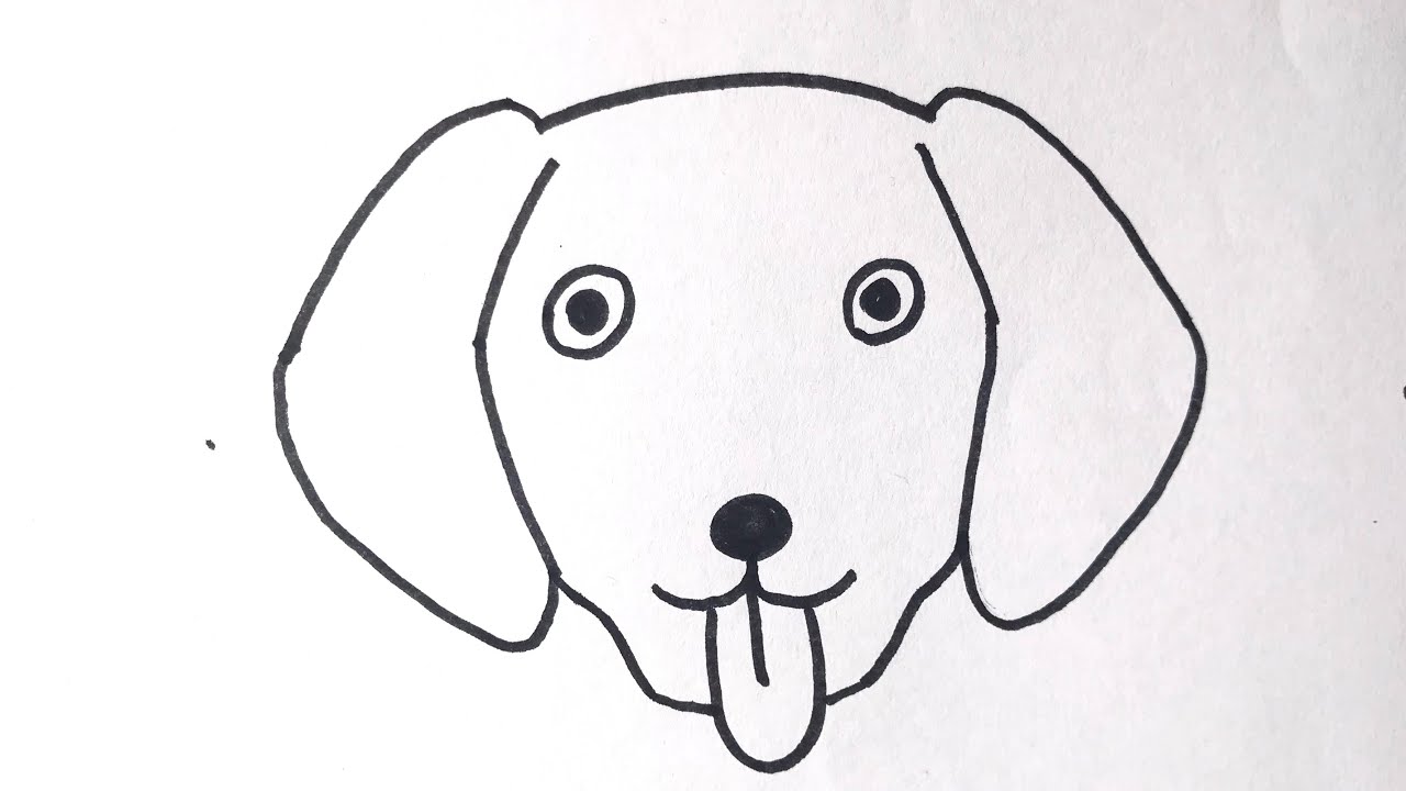 Dog Head Front View Drawing Step by Step  EasyDrawingTips