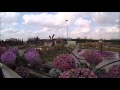 Dubai Miracle Garden in Dubailand