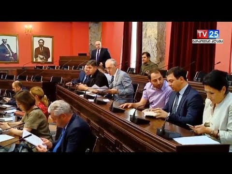 სალომე ზურაბიშვილი პრეზიდენტობის კანდიდატია