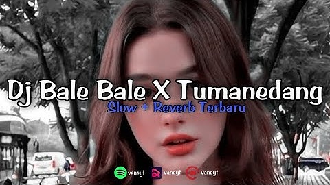 BALE-BALE X TUMANEDANG VIRAL TIK-TOK 2022