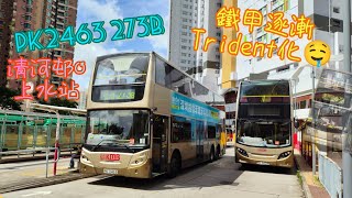 【鐵甲逐漸Trident化🤤】 PK2463 273B 清河邨↺上水站 [ISLe/Voith] （下層展望）