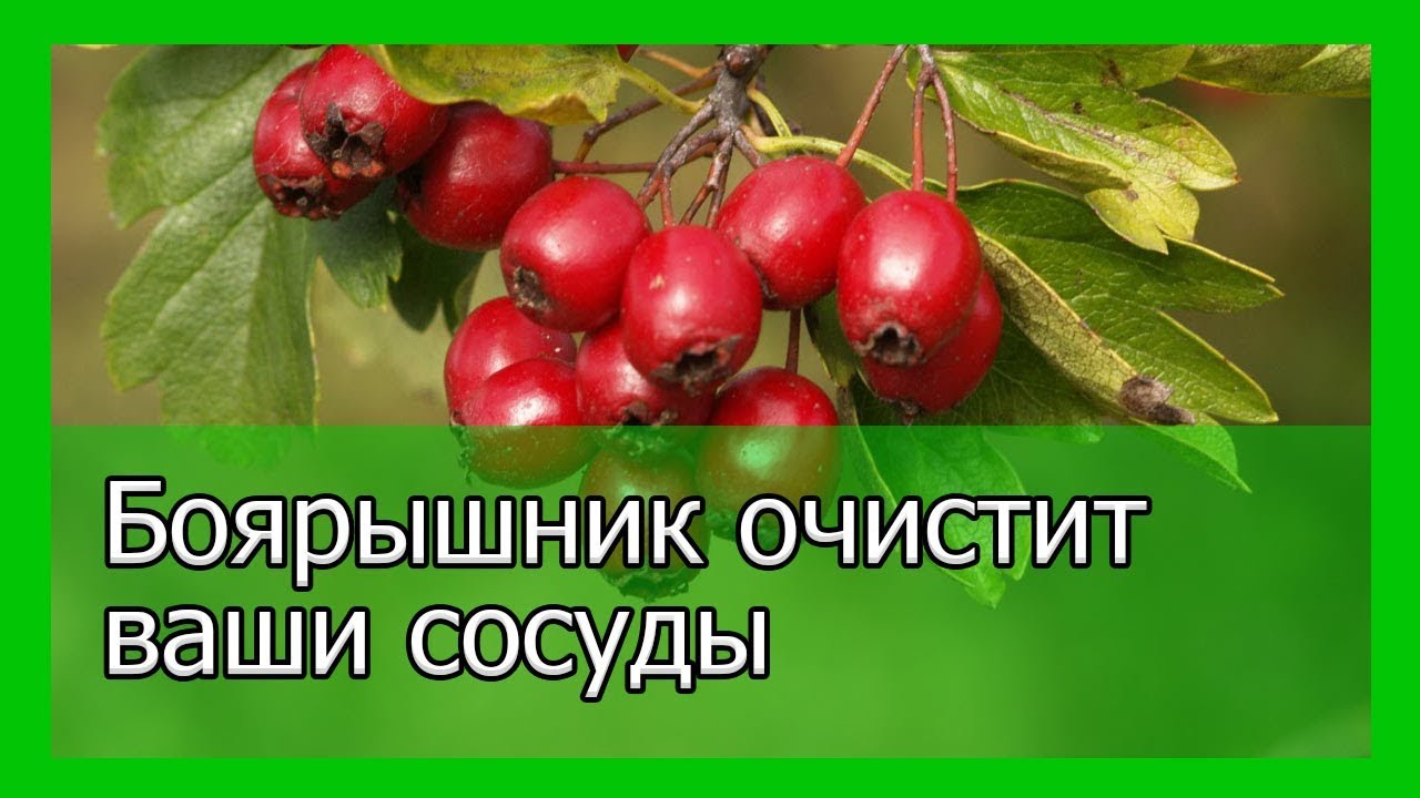 Діагностувальна робота Списування 2 клас - YouTube