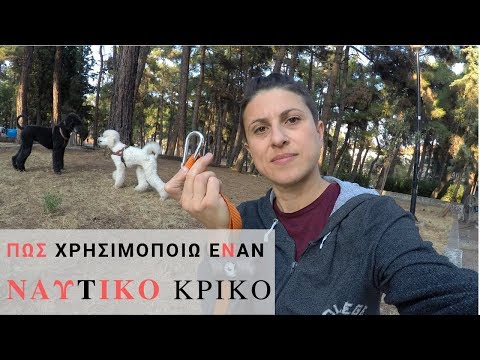 Βίντεο: Πώς να προσδιορίσετε το μέγεθος του ρουχισμού του σκύλου σας