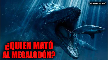 ¿Qué mató al Megalodón?