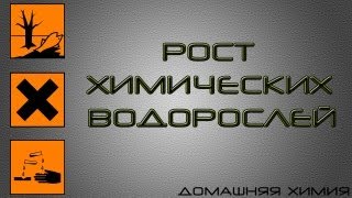 Рост химических водорослей хлорида железа Рост химических водорослей хлорида железа
