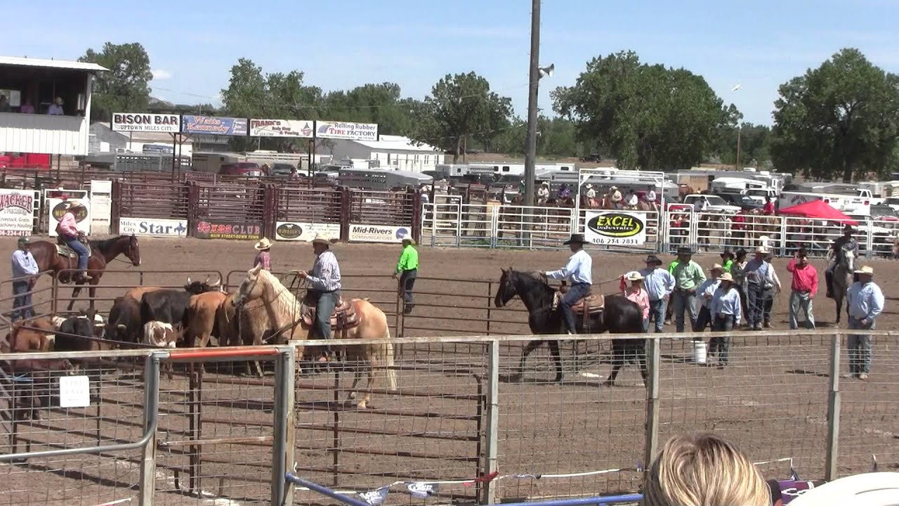 Team Branding Event w/Prewitt Cattle Co. and Dragging 3 Performance