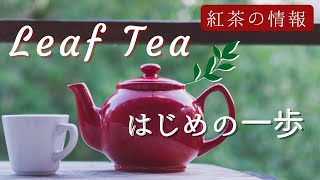 【リーフティー入門】紅茶を茶葉から淹れてみよう〜ティーポット無しでも美味しい紅茶〜[Tea vlog]ねね茶#23