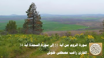 المصحف المرتل للشيخ راغب مصطفى غلوش - سورة الروم من آية 51 إلى سورة السجدة آية 34