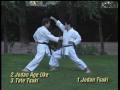 Karate  ippon kumite