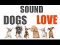 Sound dogs love all time  hq