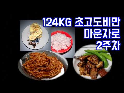 마운자로 맞으면 인생 바뀔 줄 알았지 | 마운자로 브이로그