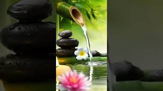 Bamboo water fountain and relaxing piano music for stress relief ,deep sleep, meditation #nature screenshot 4