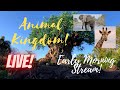 🔴LIVE : Disney’s Animal Kingdom | Disney World Live Stream | 7/18/2021