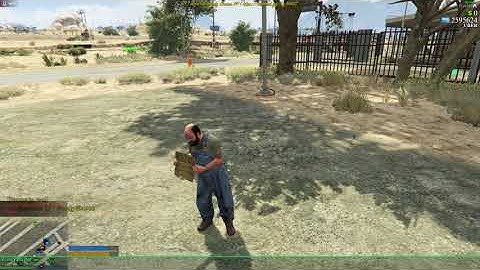 FiveM Panhandle Script