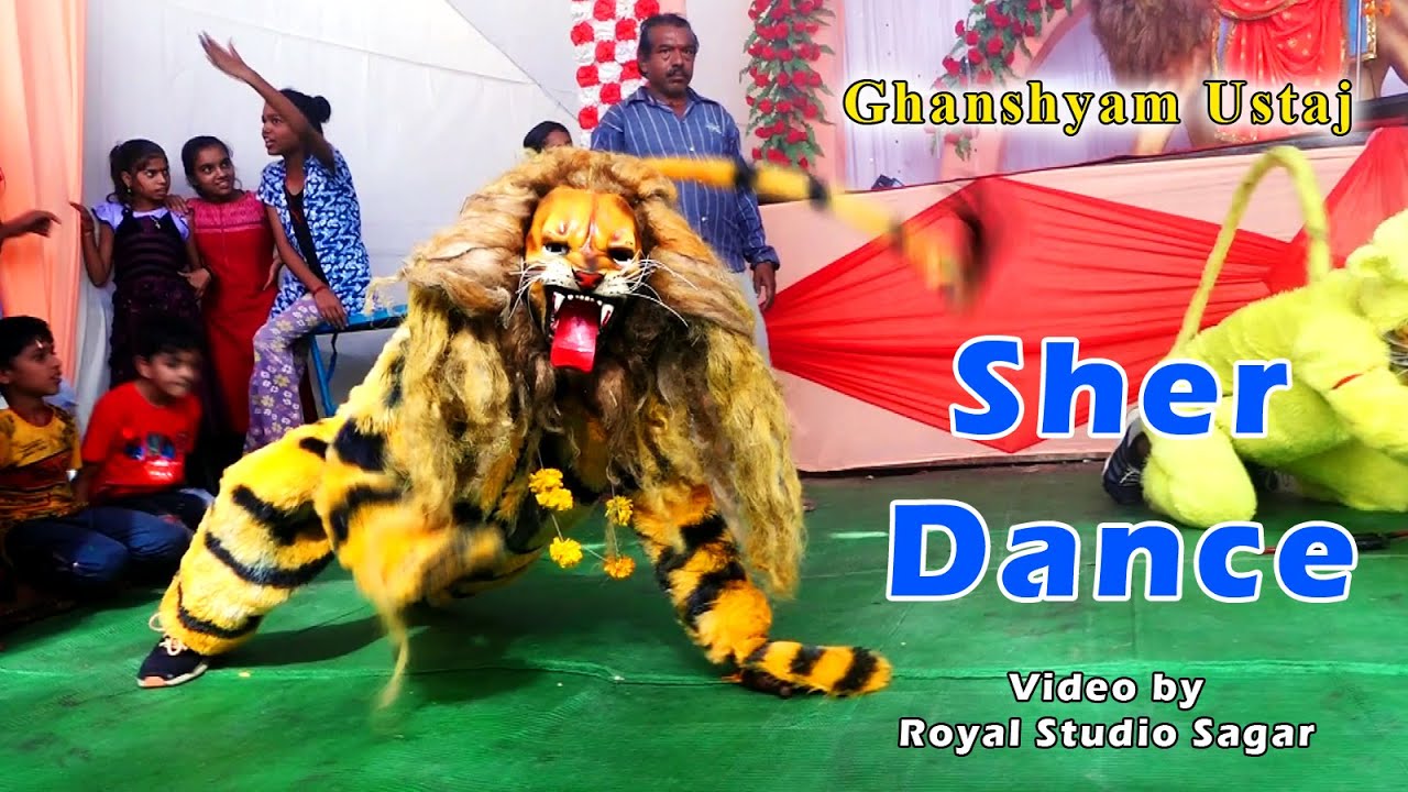 Sher Dance || Sadar || Ghanshyam Ustaj || Royal Studio Sagar || Sagar