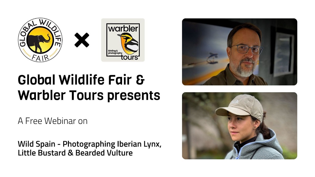 Global Wildlife Fair × Warbler Tours | Ethical Wildlife Photography in Spain