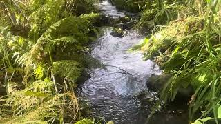 Hidden Stream 2 