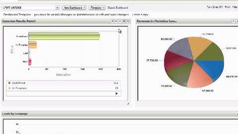 Sage CRM Interactive Dashboard