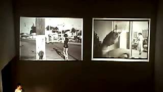 Photography: Inspired Collecting