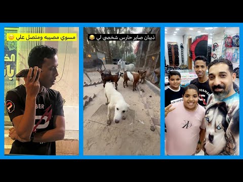 الكلب ذيبان صاير حارس شخصي للعبدالرحيم سناب عبدالرحيم Bingoo 