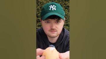 exposing "brain rot" life hacks