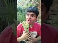 Save the🌳tree 😔 #shorts #funnyshorts #ytshorts
