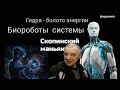 Биороботы - исполнители системы.