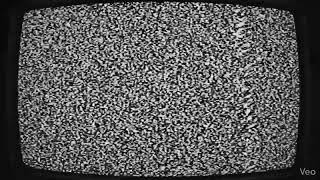[1 minute] TV Static Noise 1080p HD — Old Television No Signal White Noise for Sleep &amp; Study