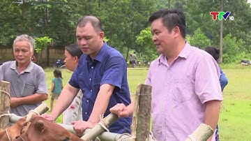 HỘI NÔNG DÂN HUYỆN LÂM BÌNH NỖ LỰC PHÁT TRIỂN (15-6-2023)