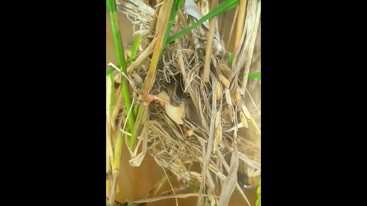 #​​​​​​​​​​Sardinia