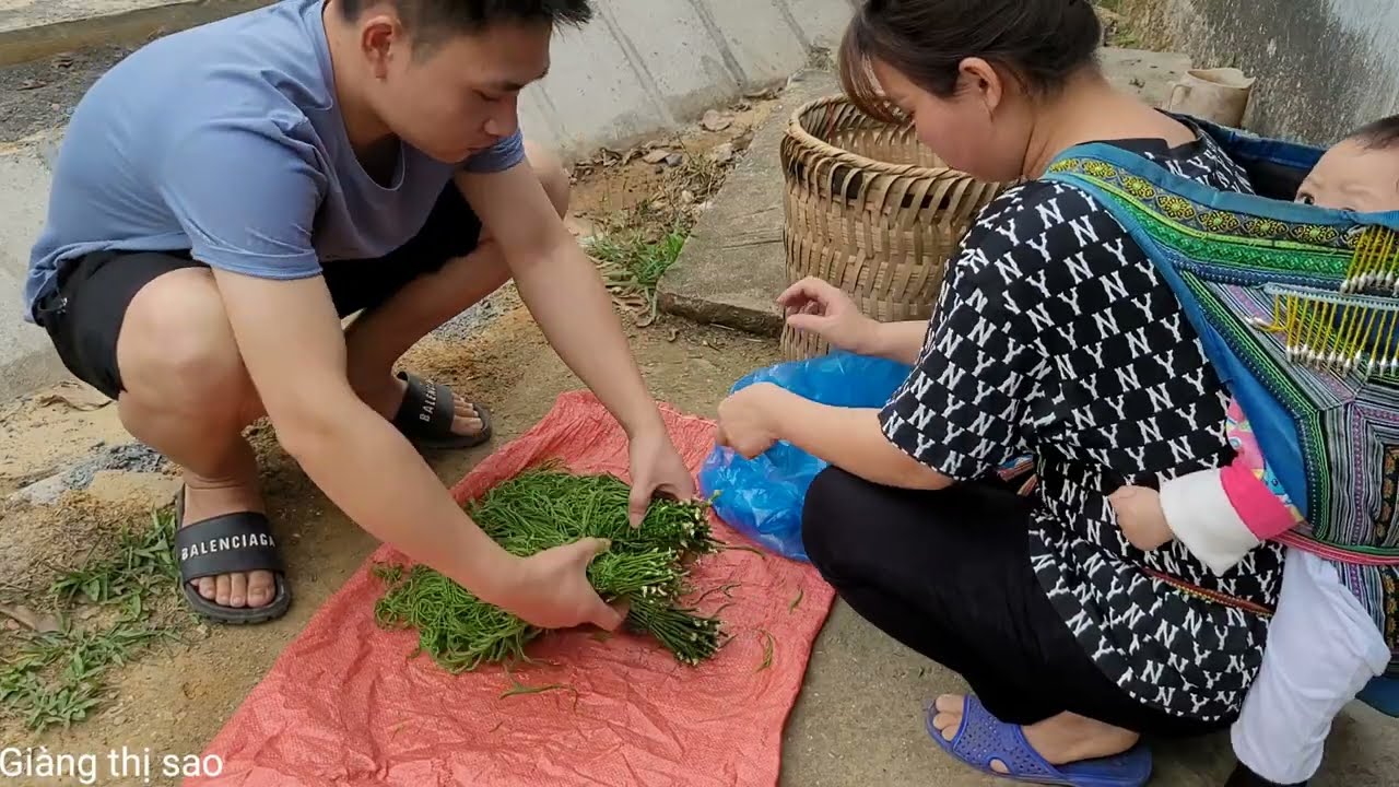 Single mother harvests vegetables to sell  | Giàng thị sao