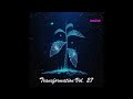 Transformation Vol 27 - 417hz Solfeggio Frequency - FREQUENCY TO HIGHER YOUR VIBRATION