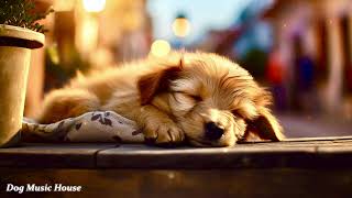 Relaxing Music for Dogs, best dog music for deep sleeping, calm down