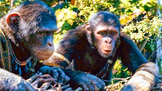 KINGDOM OF THE PLANET OF THE APES - “Extended Preview” Scene (2024) Movie CLIP HD