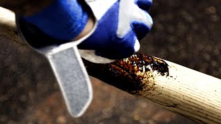 Why do baseball players use pine tar?