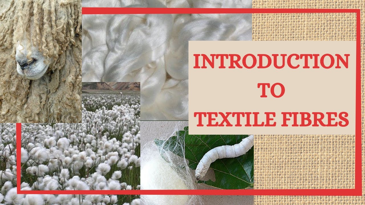 Introduction To Textile Fibres/ What Is A Textile Fibre/ What Is Fibre/ Textile Raw Material