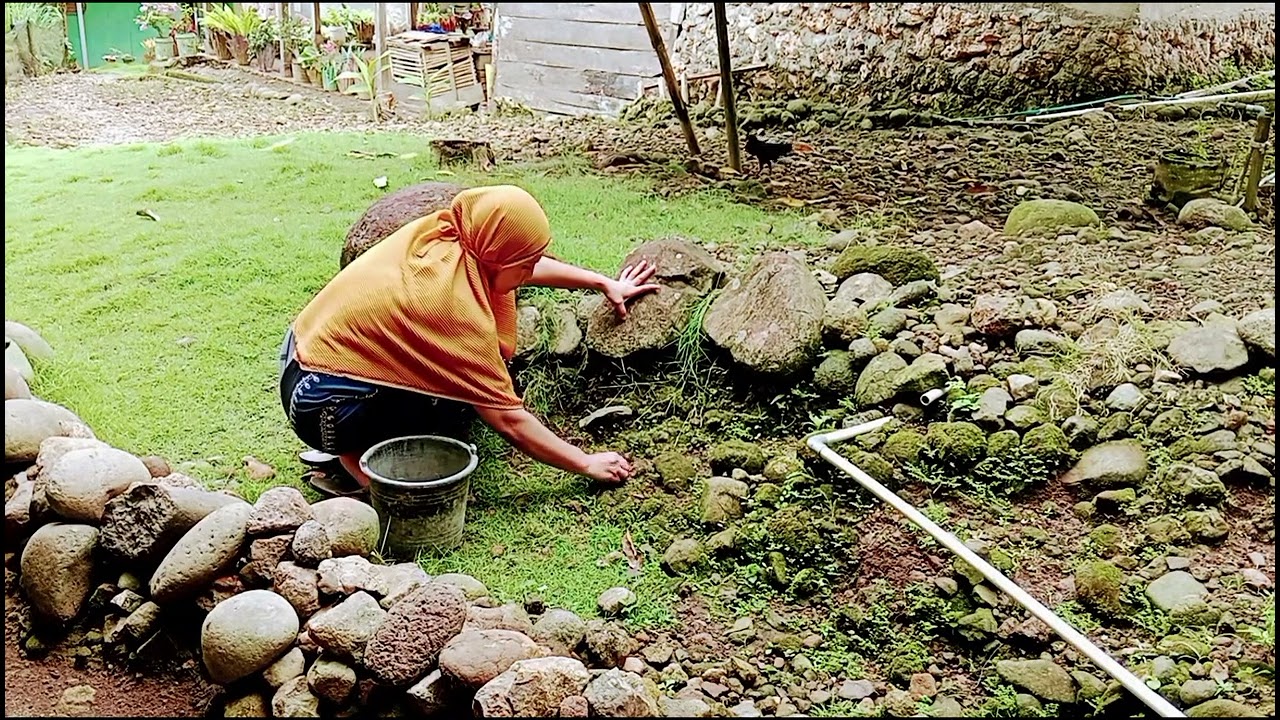 Kegiatan ibu rumah tangga di desa cabut rumput dan masak ikan pallu kacci