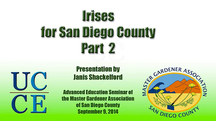 Irises for San Diego Part 2