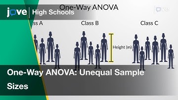One-Way ANOVA: Unequal Sample Sizes | Statistics | Video Textbooks - Preview