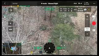 Wildlife survey using thermal Drone.