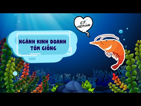 Video Người CP hiểu CP | Episode 14 |Ngành kinh doanh tôm... - youtube