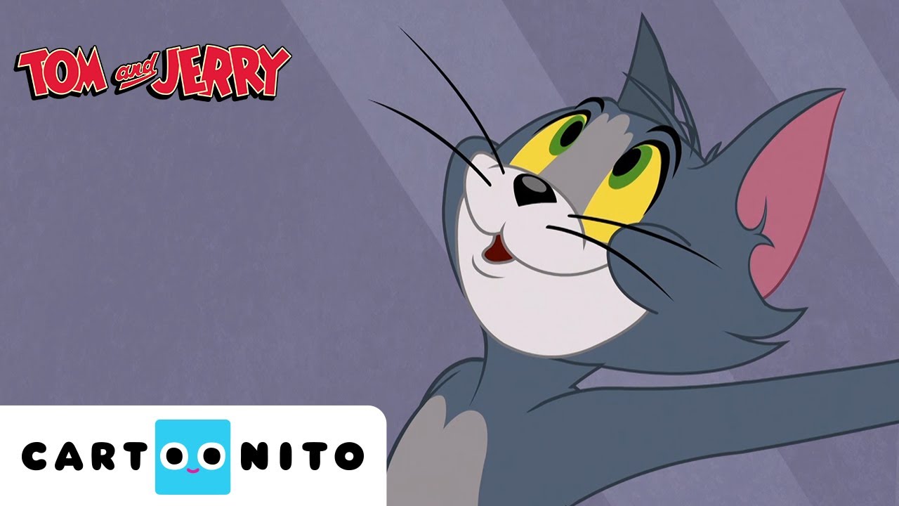 Stinkende Füße Compilation | Tom & Jerry | Cartoonito