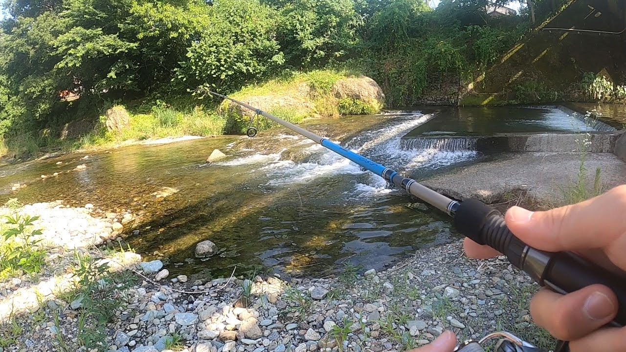 小川町で魚釣り！