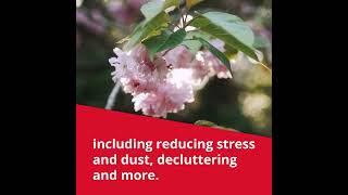 Get Your Office & Home Clean & Tidy with This Easy Shredding Solution