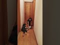 爬爬爬 23 Sep 2017 爬爬爬 23 Sep 2017